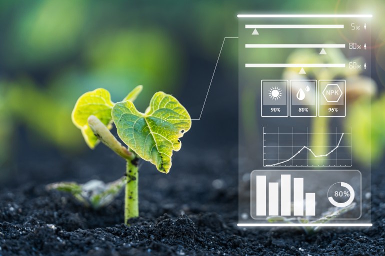 Smart farm technology of monitoring the growth of sprougt plants with design infographics. Innovation technology for agriculture