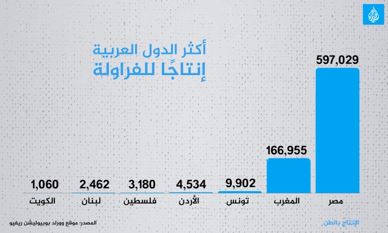 أكثر-الدول-العربية-إنتاجًا-للفراولة