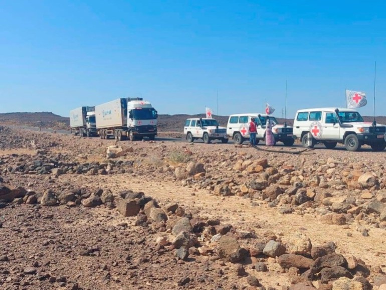 A convoy of trucks from the International Committee of the Red Cross (ICRC) deliver lifesaving medical supplies are seen on the road to Mekelle