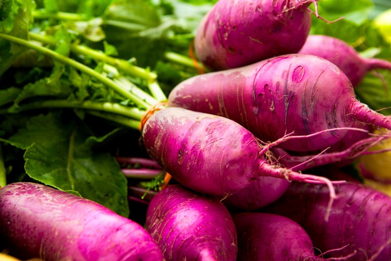 Organic turnips from a local market ادوبي ستوك