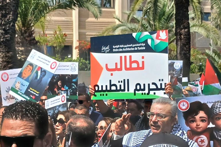 : جانب من احتجاجات سابقة في تونس على المجازر المرتبكة في غزة/العاصمة تونس/يونيو/حزيران 2025 (خاصة)